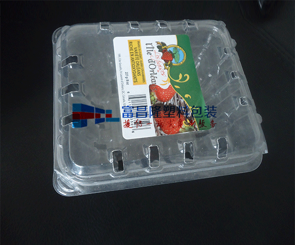 安徽水果对折吸塑包装盒